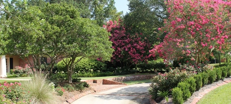 GreenSeasons - Photo 5