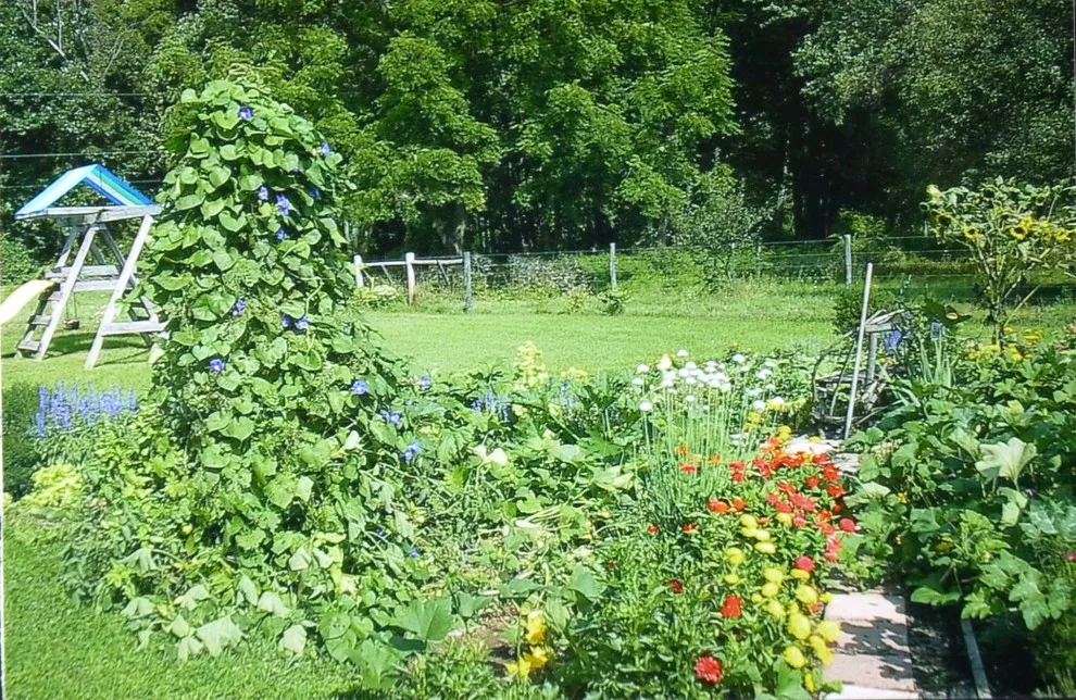 Landscape Planning by Karen Savage Design - Photo 4