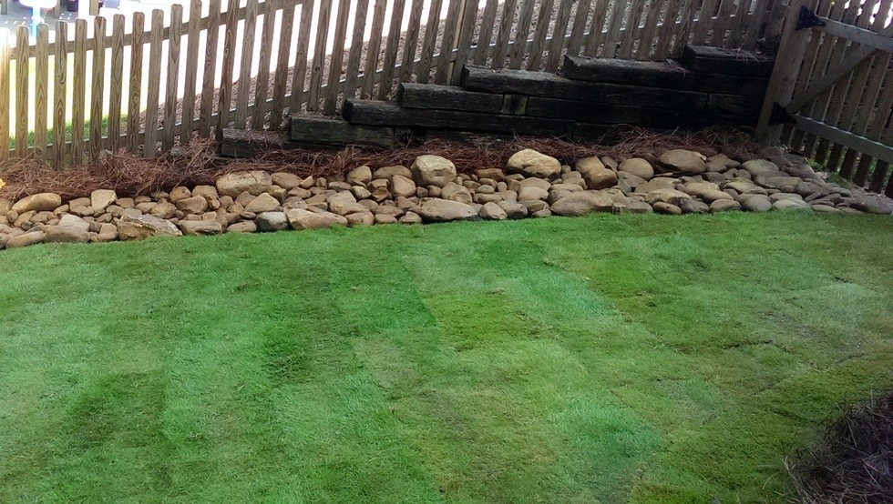 Creekside Subdivision | Cumming, GA by Greenshooz Landscaping - Photo 3