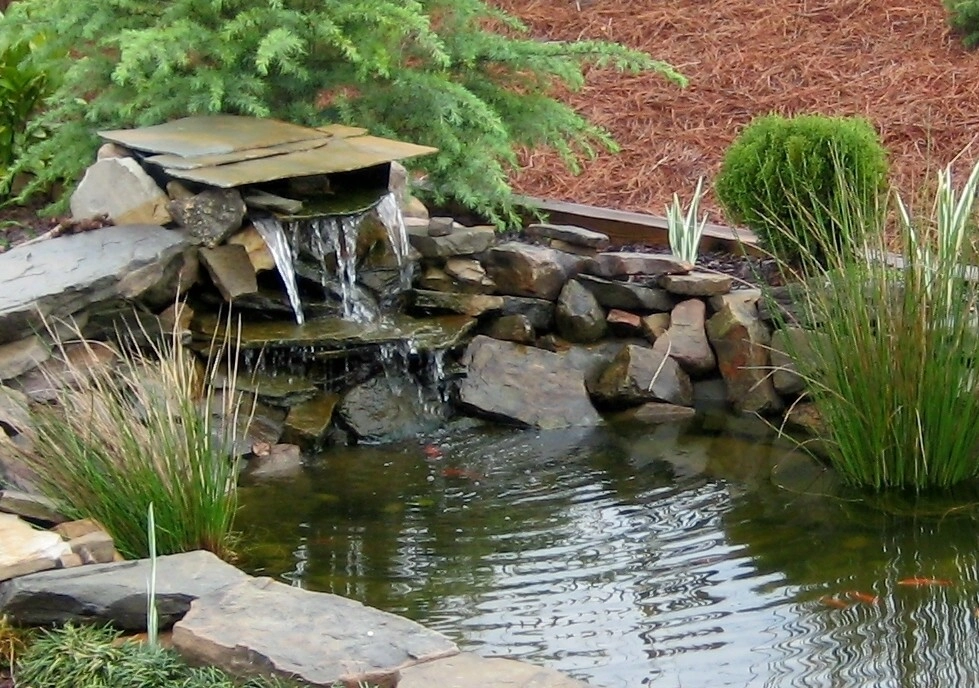 Majors Mill Crossing Subdivision | Cumming, GA by Greenshooz Landscaping - Photo 26