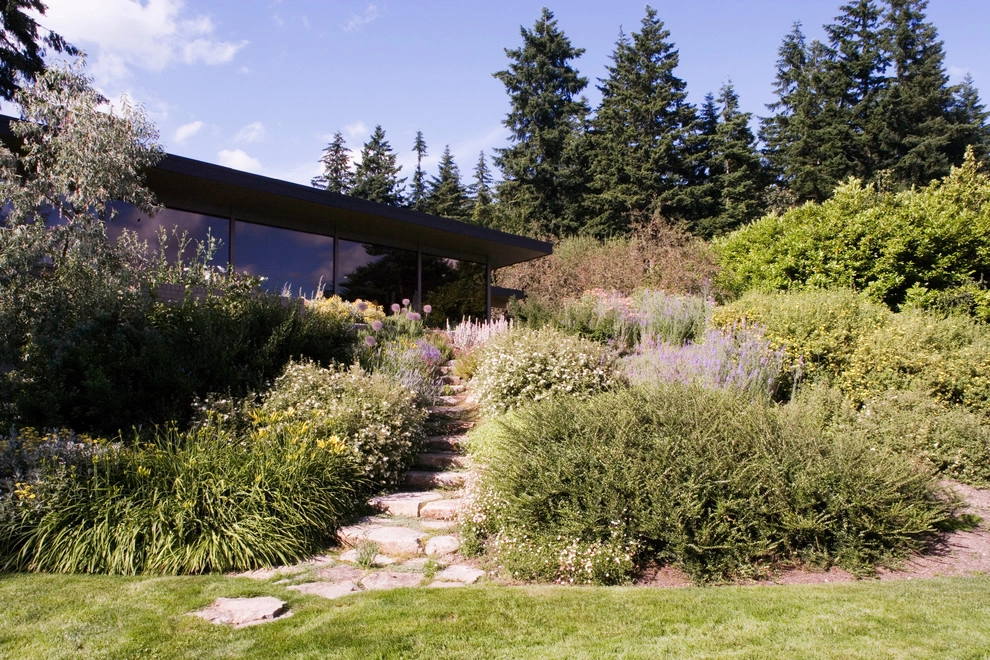 MidCentury Residence by Broadhurst + Associates - Photo 10