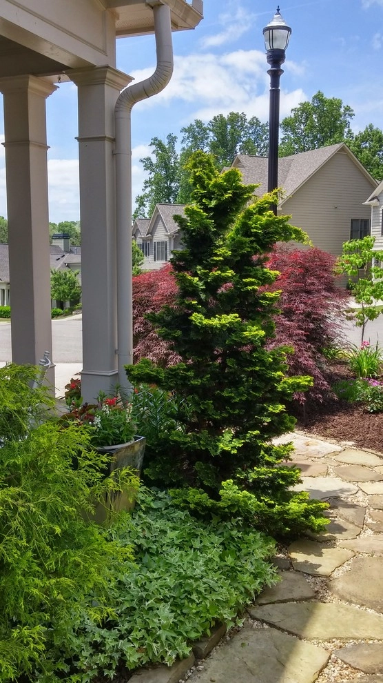 Majors Mill Crossing Subdivision | Cumming, GA by Greenshooz Landscaping - Photo 46