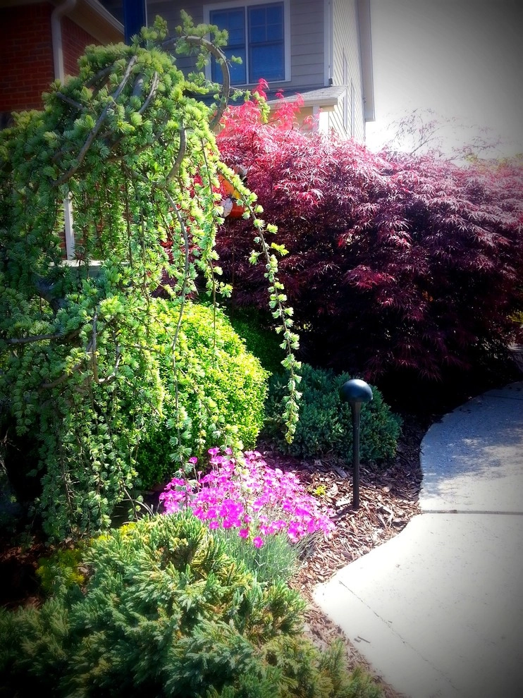Majors Mill Crossing Subdivision | Cumming, GA by Greenshooz Landscaping - Photo 16
