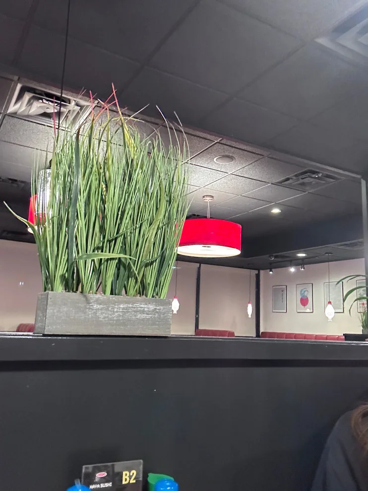 Sushi eatery by EDV Home Design - Photo 6