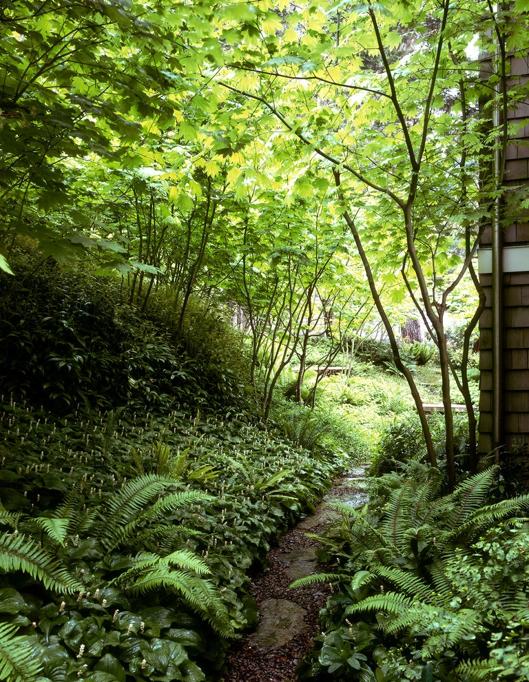 San Juan Island Residence by Broadhurst + Associates - Photo 10