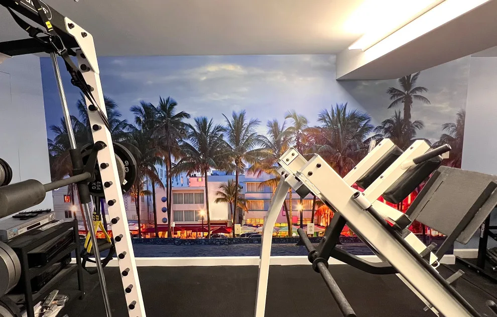 Miami Chill Home Gym Renovation by Blue Horse Contemporary Design - Photo 4