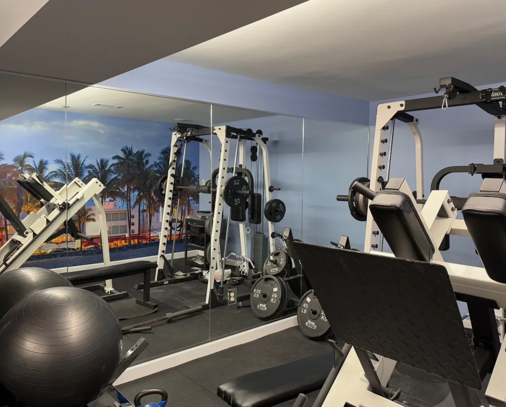 Miami Chill Home Gym Renovation by Blue Horse Contemporary Design - Photo 2