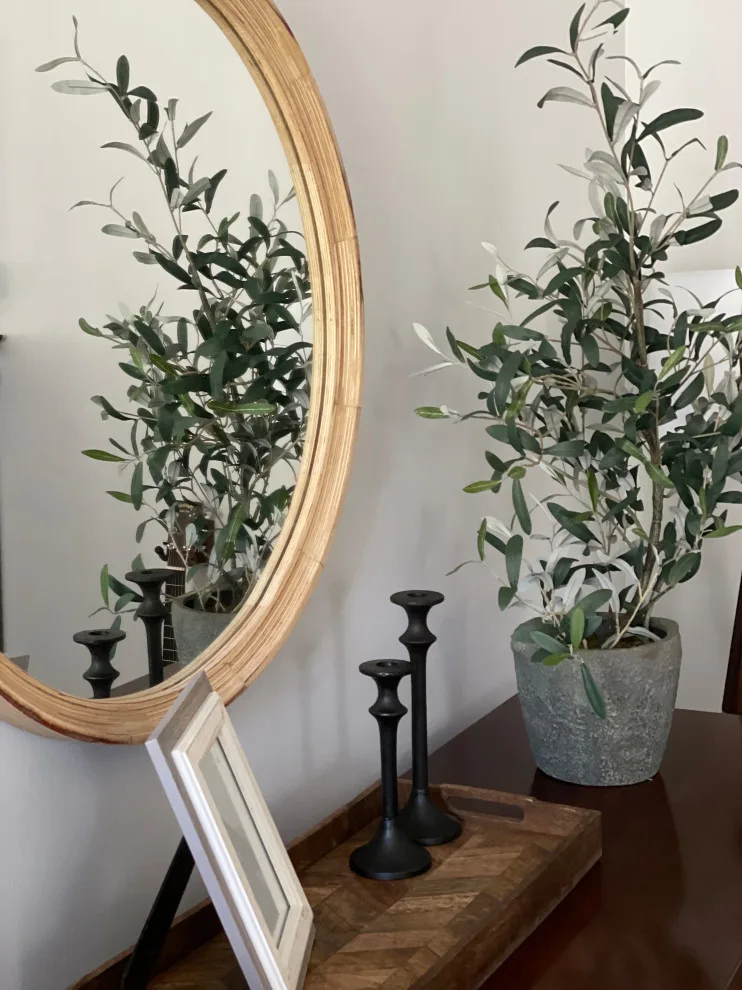 Master bedroom makeover by Melissa Rieser Interiors - Photo 5