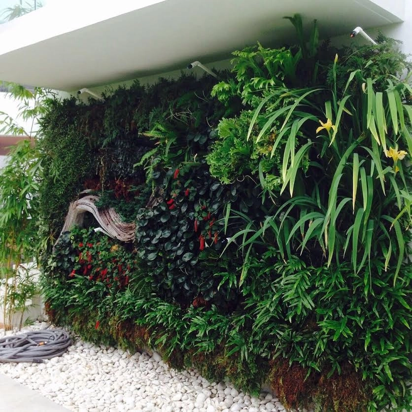 GreenWalls 305, LLC - Photo 12