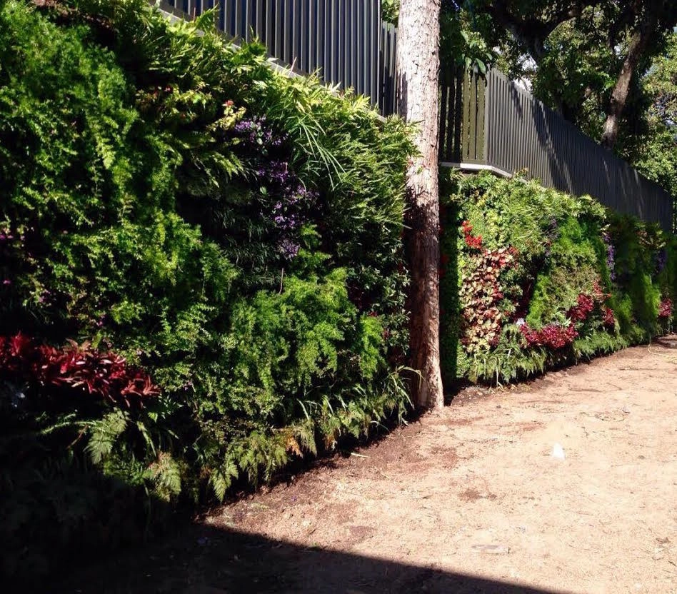 Vertical Gardens by GreenWalls 305, LLC - Photo 5