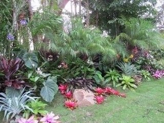 Landscape Installation by GreenWalls 305, LLC - Photo 9