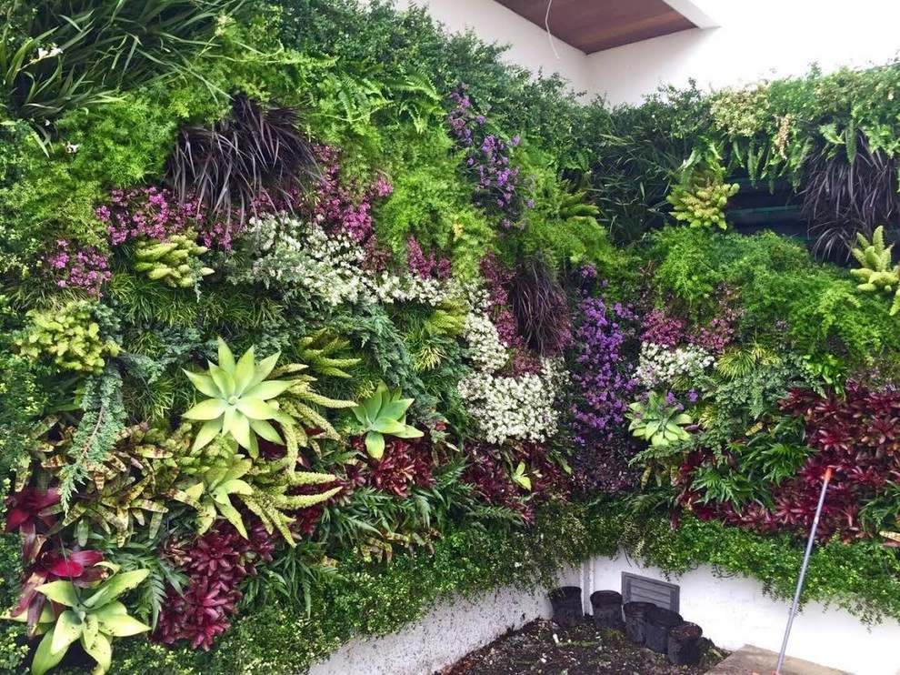 Vertical Gardens by GreenWalls 305, LLC - Photo 4