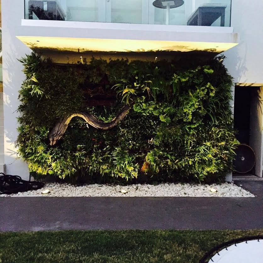 Vertical Gardens by GreenWalls 305, LLC - Photo 6