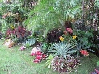 Landscape Installation by GreenWalls 305, LLC - Photo 11