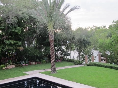 Landscape Installation by GreenWalls 305, LLC - Photo 14