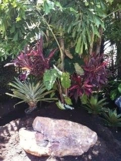 Landscape Installation by GreenWalls 305, LLC - Photo 13