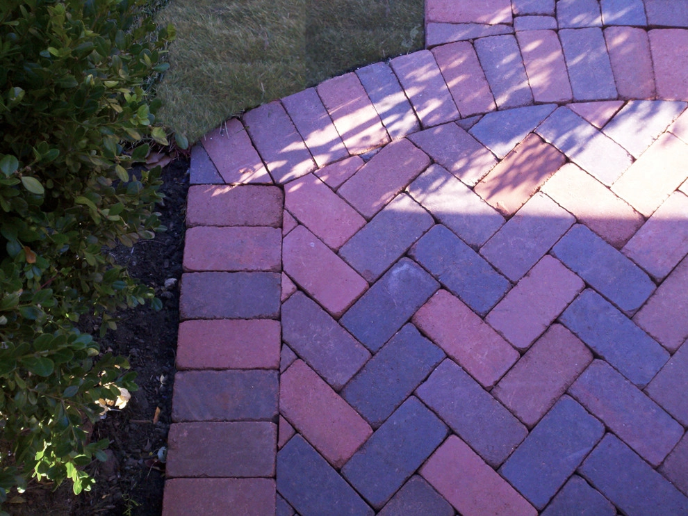 Chicago Backyard by Greenwise Organic Lawn Care And Landscape Design - Photo 3