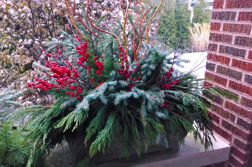 Seasonal Displays by Greenwise Organic Lawn Care And Landscape Design - Photo 5