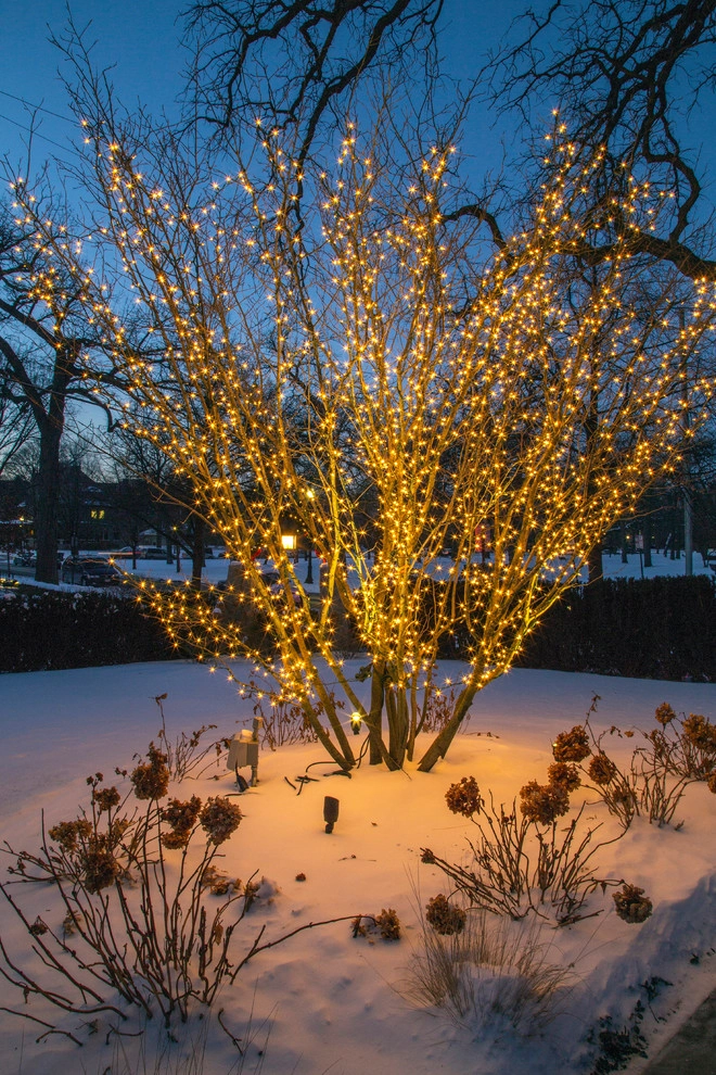 Historic Evanston Retreat by Greenwise Organic Lawn Care And Landscape Design - Photo 14