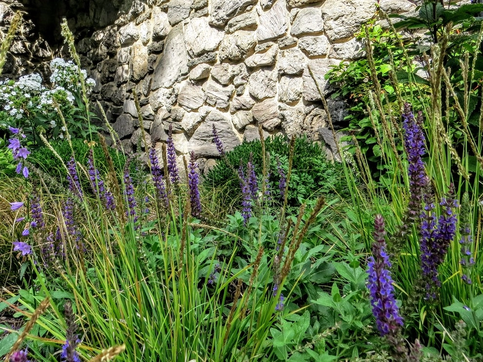 Evanston Prairie by Greenwise Organic Lawn Care And Landscape Design - Photo 7