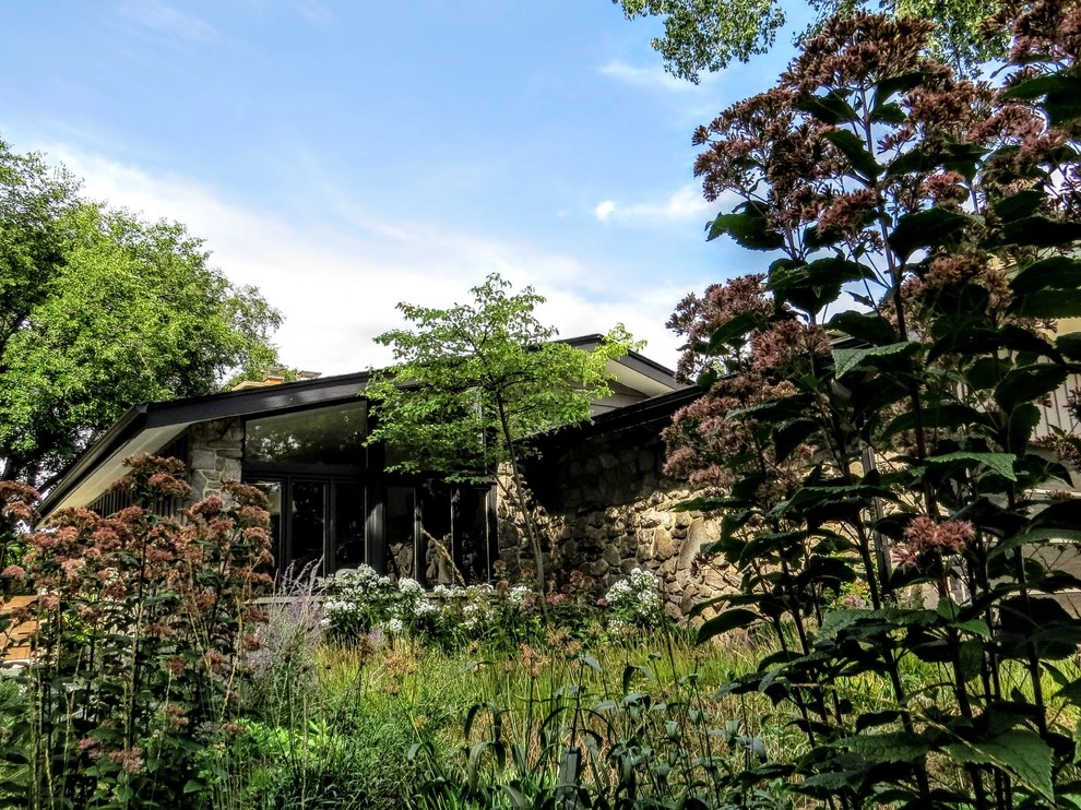 Evanston Prairie by Greenwise Organic Lawn Care And Landscape Design - Photo 2