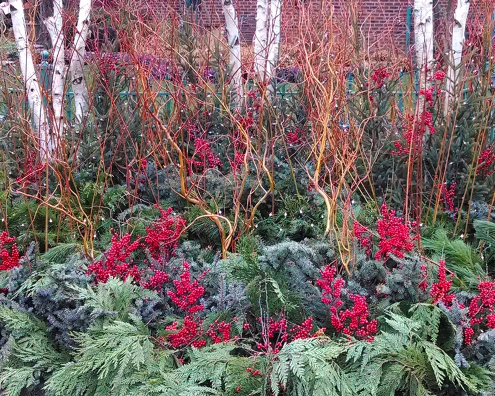 Seasonal Displays by Greenwise Organic Lawn Care And Landscape Design - Photo 3