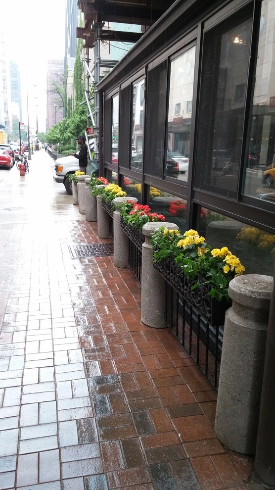Sponsored Photos (Up to 25) by Greenwise Organic Lawn Care And Landscape Design - Photo 5
