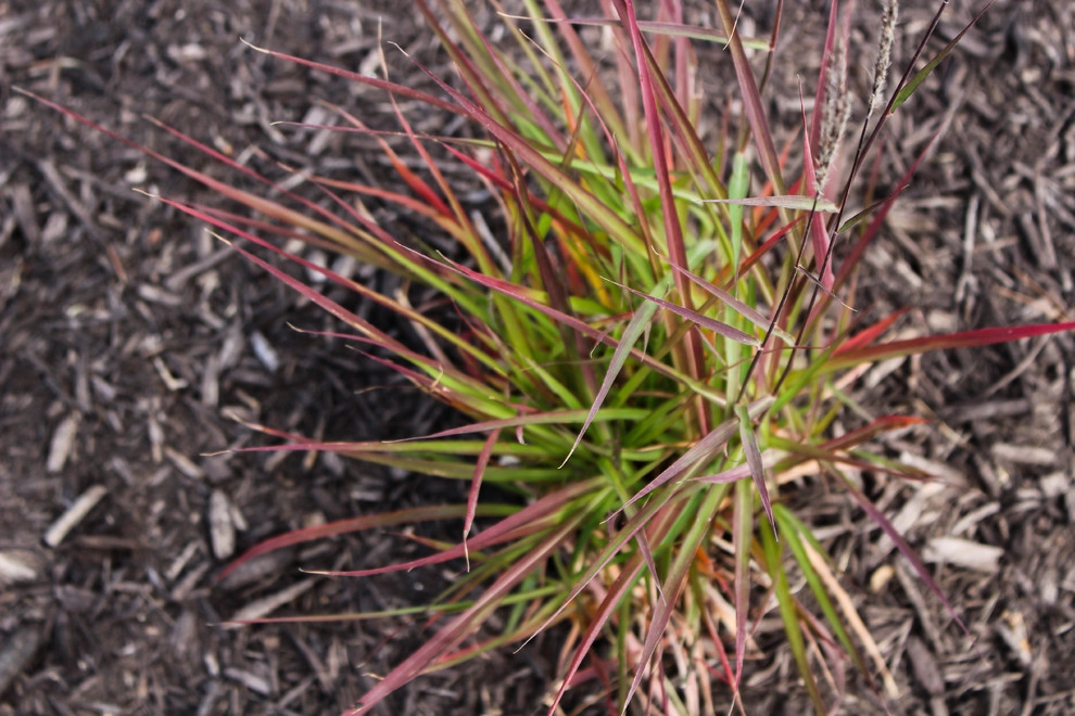 Groundscapes, Inc. - Photo 7