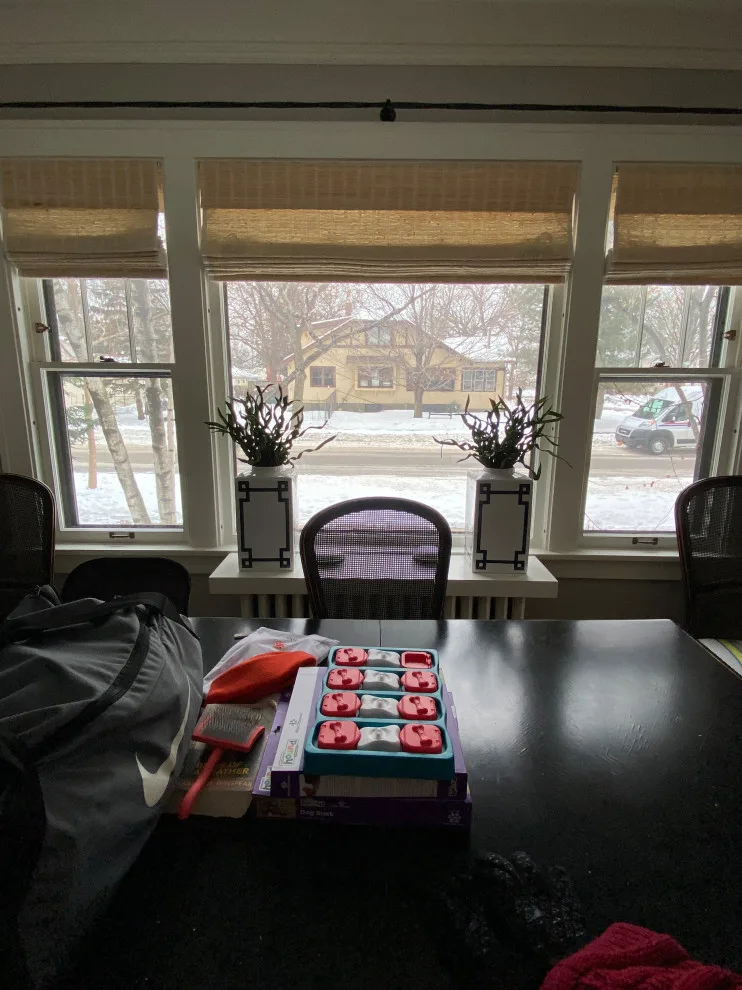Linden Hills Cottage by Timothy Briscoe Interiors - Photo 8