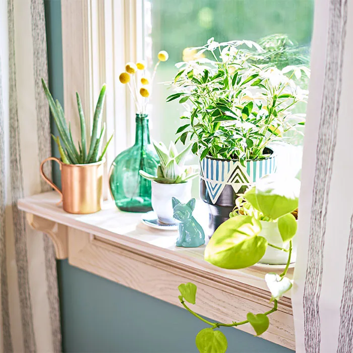 DeGoey Designs - Photo 9