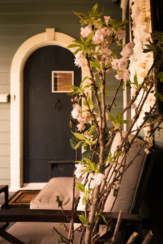 Contemporary Classic in Austin by Maureen Stevens Design - Photo 22