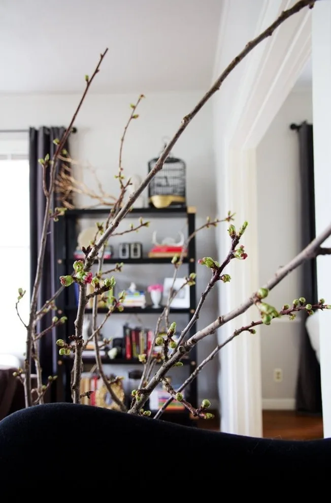 Contemporary Classic in Austin by Maureen Stevens Design - Photo 17