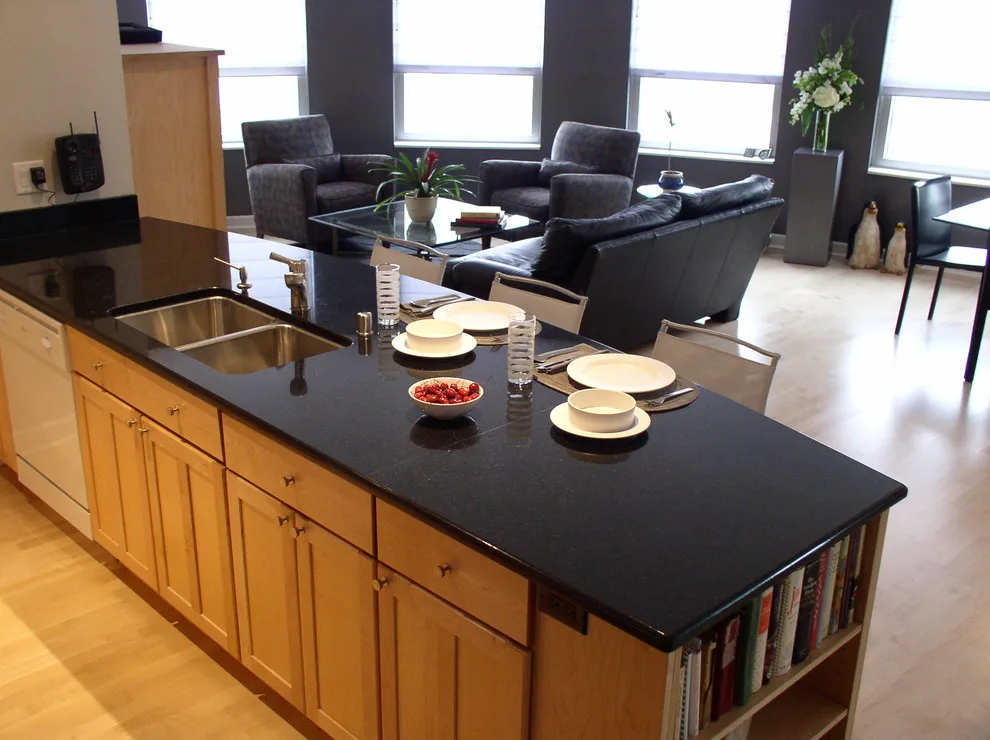Contemporary Condominium in Chicago by KDT Designs, Inc. - Photo 5