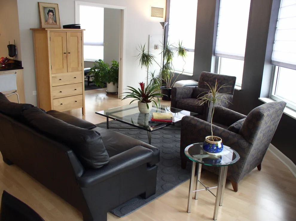 Contemporary Condominium in Chicago by KDT Designs, Inc. - Photo 3