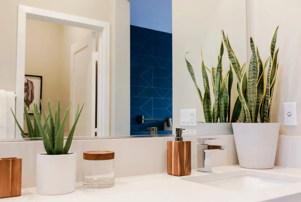 Objective by Acacia + Spruce - Photo 10