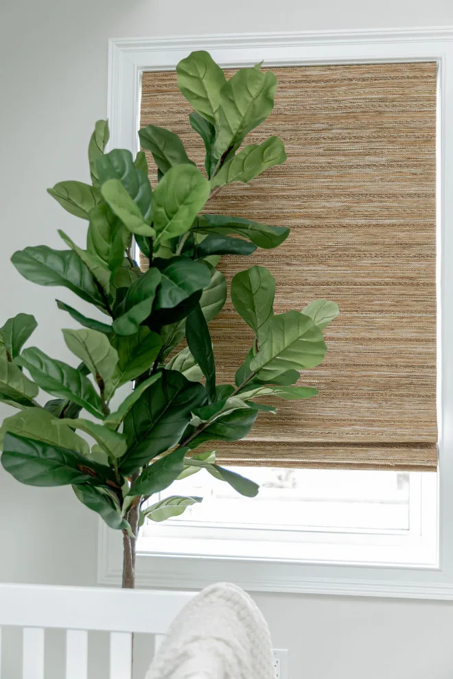 Morristown Garden Center by Grayscale Homes - Photo 8