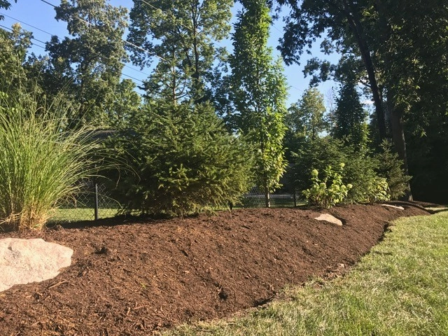 Mulch landscaping by Hackman Lawn & Landscape - Photo 5