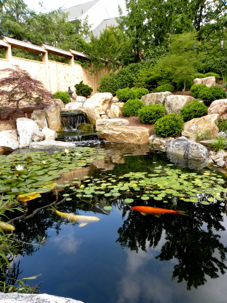 Japanese-Inspired Garden with Koi Pond by Hanselman Landscape And Gardens - Photo 2