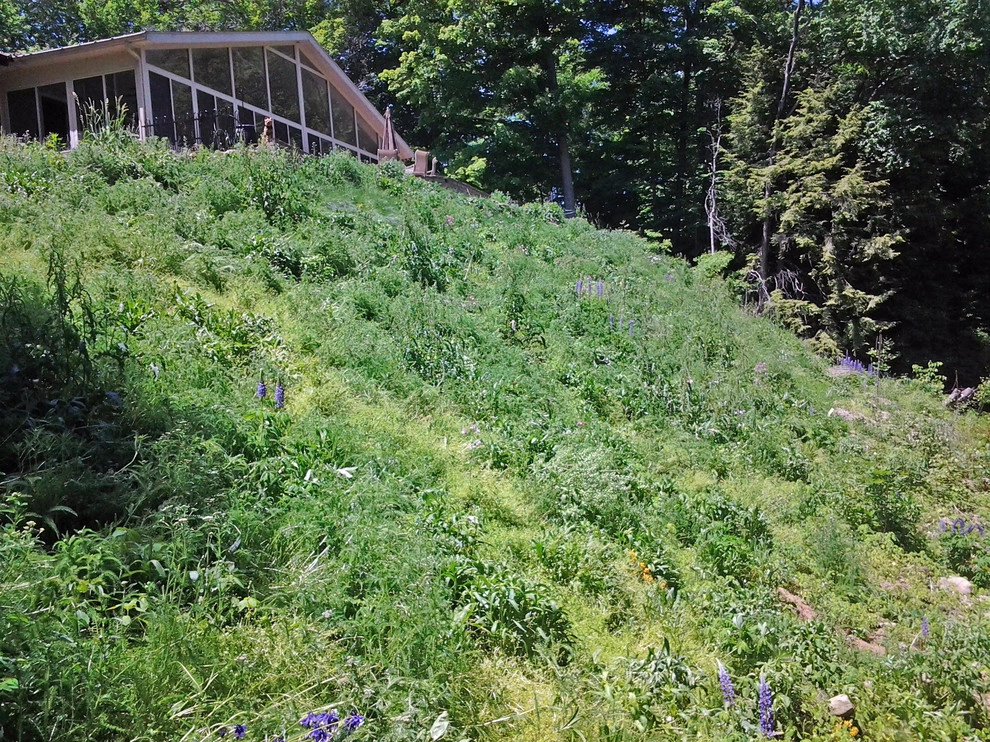 Slope Restoration by LandTechwmi LLC - Photo 17