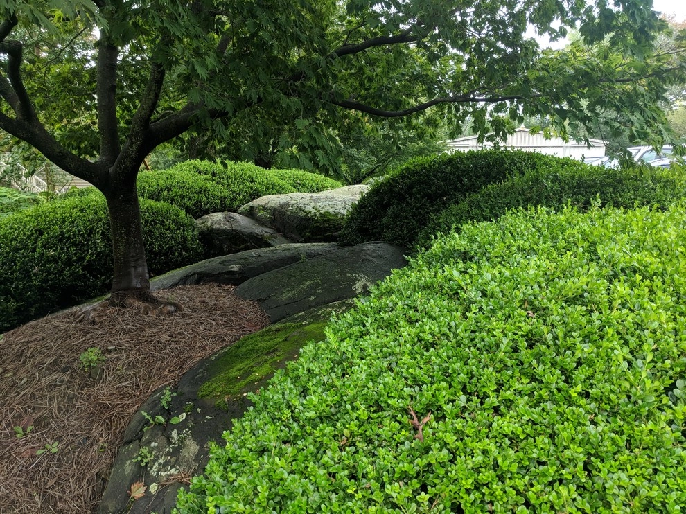 Brittany's Hope by Hanselman Landscape And Gardens - Photo 2