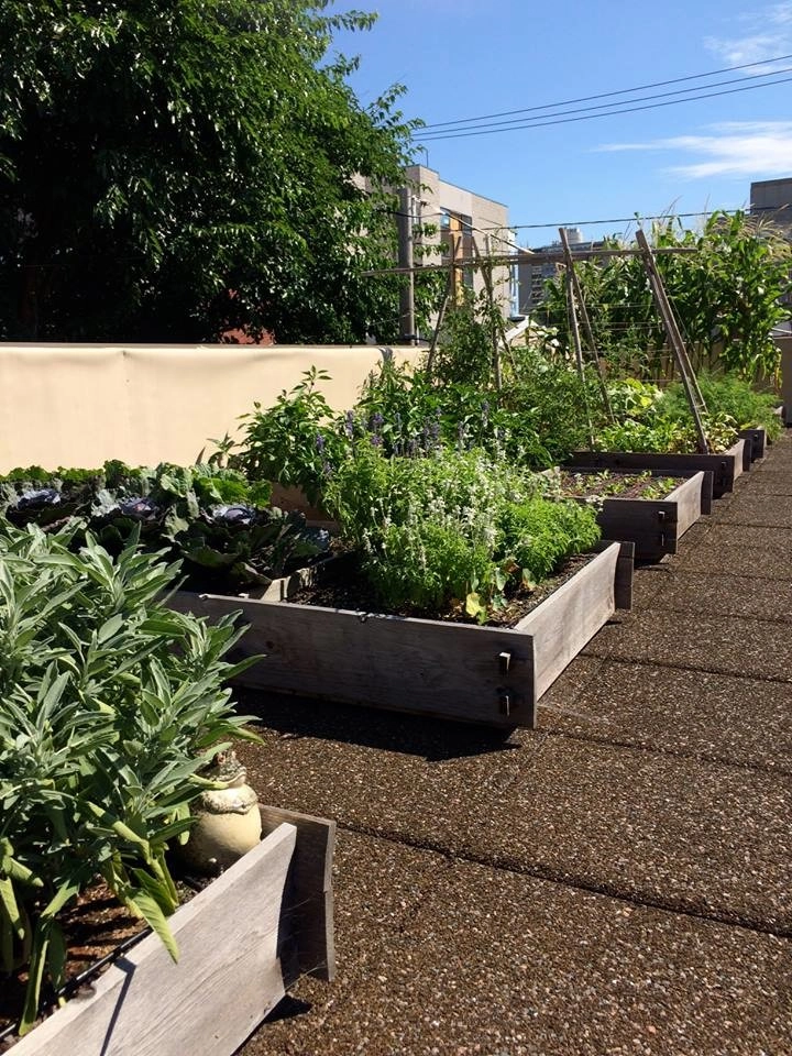 City Rooftop Vegetable Garden by Hanselman Landscape And Gardens - Photo 3