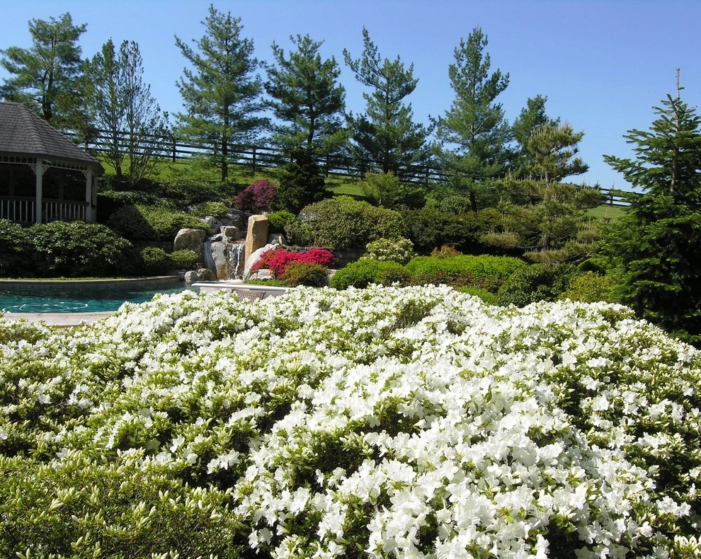 Manheim Swimming Pool Garden by Hanselman Landscape And Gardens - Photo 5