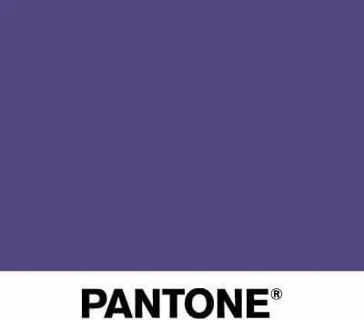 Hue Trends by K LINN Interiors - Photo 3