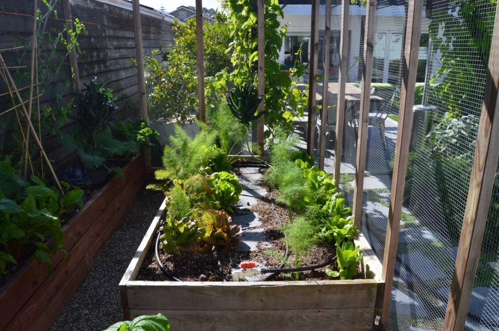 Harvest To Home Vegetable & Herb Garden Service - Photo 11