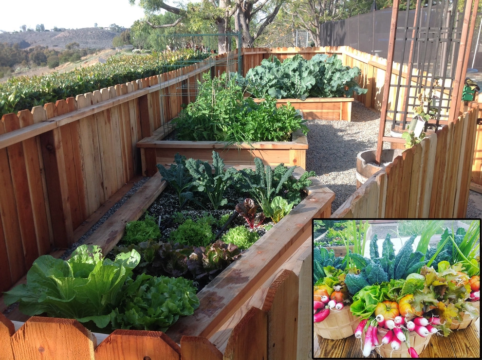 Shady Canyon Vegetable & Herb Garden by Harvest To Home Vegetable & Herb Garden Service - Photo 10