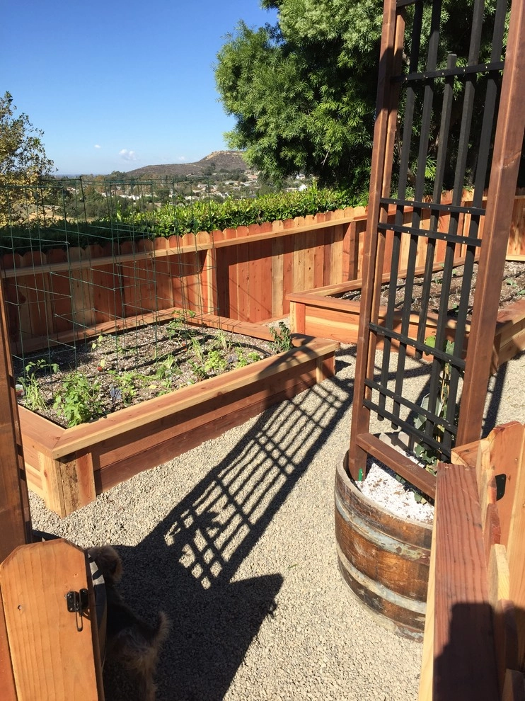 Shady Canyon Vegetable & Herb Garden by Harvest To Home Vegetable & Herb Garden Service - Photo 3