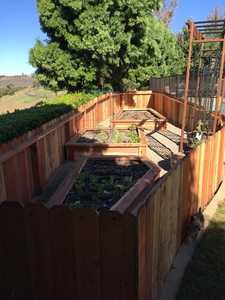 Shady Canyon Vegetable & Herb Garden by Harvest To Home Vegetable & Herb Garden Service - Photo 8