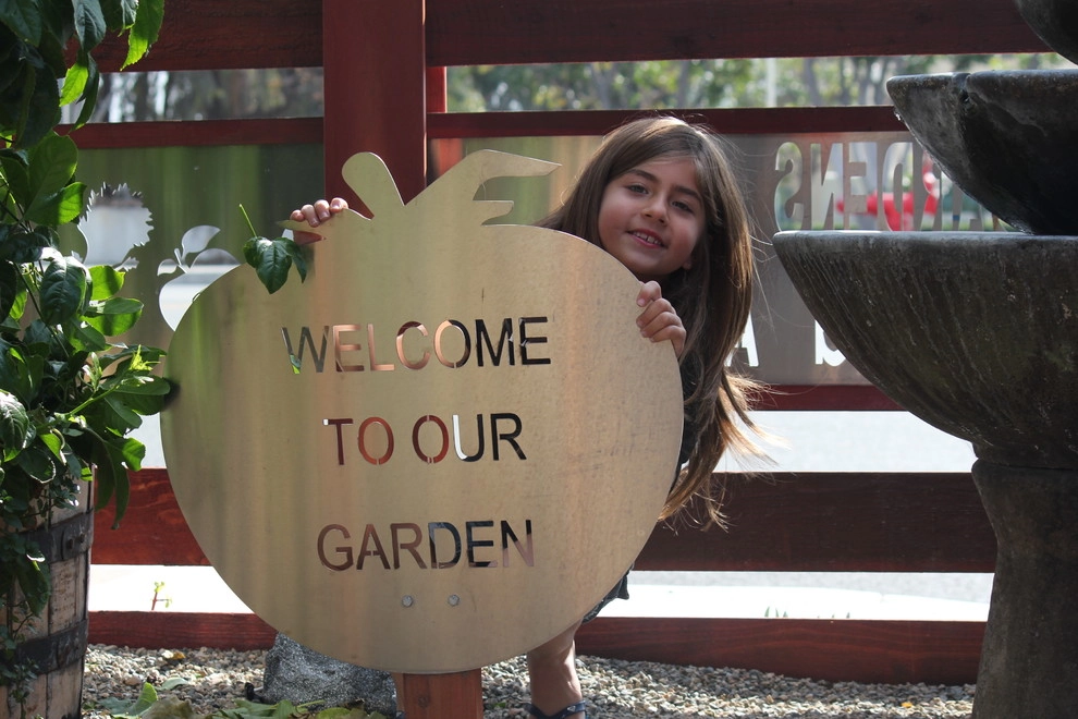 Our Show Room by Harvest To Home Vegetable & Herb Garden Service - Photo 5