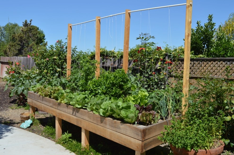 Harvest To Home Vegetable & Herb Garden Service - Photo 12