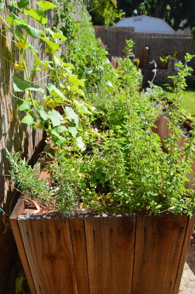 Organic Edible Gardens by Harvest To Home Vegetable & Herb Garden Service - Photo 24